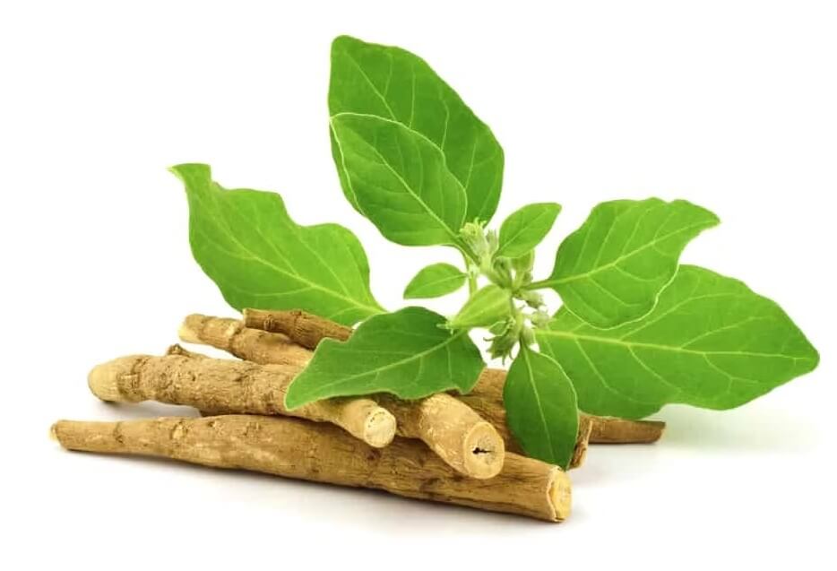 Ashwagandha4
