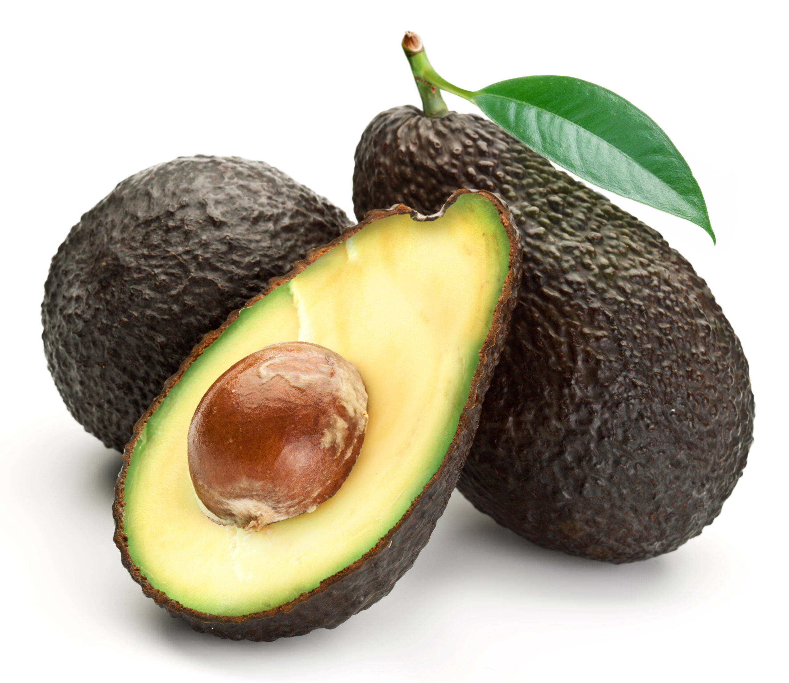 Hass Avocado Picture