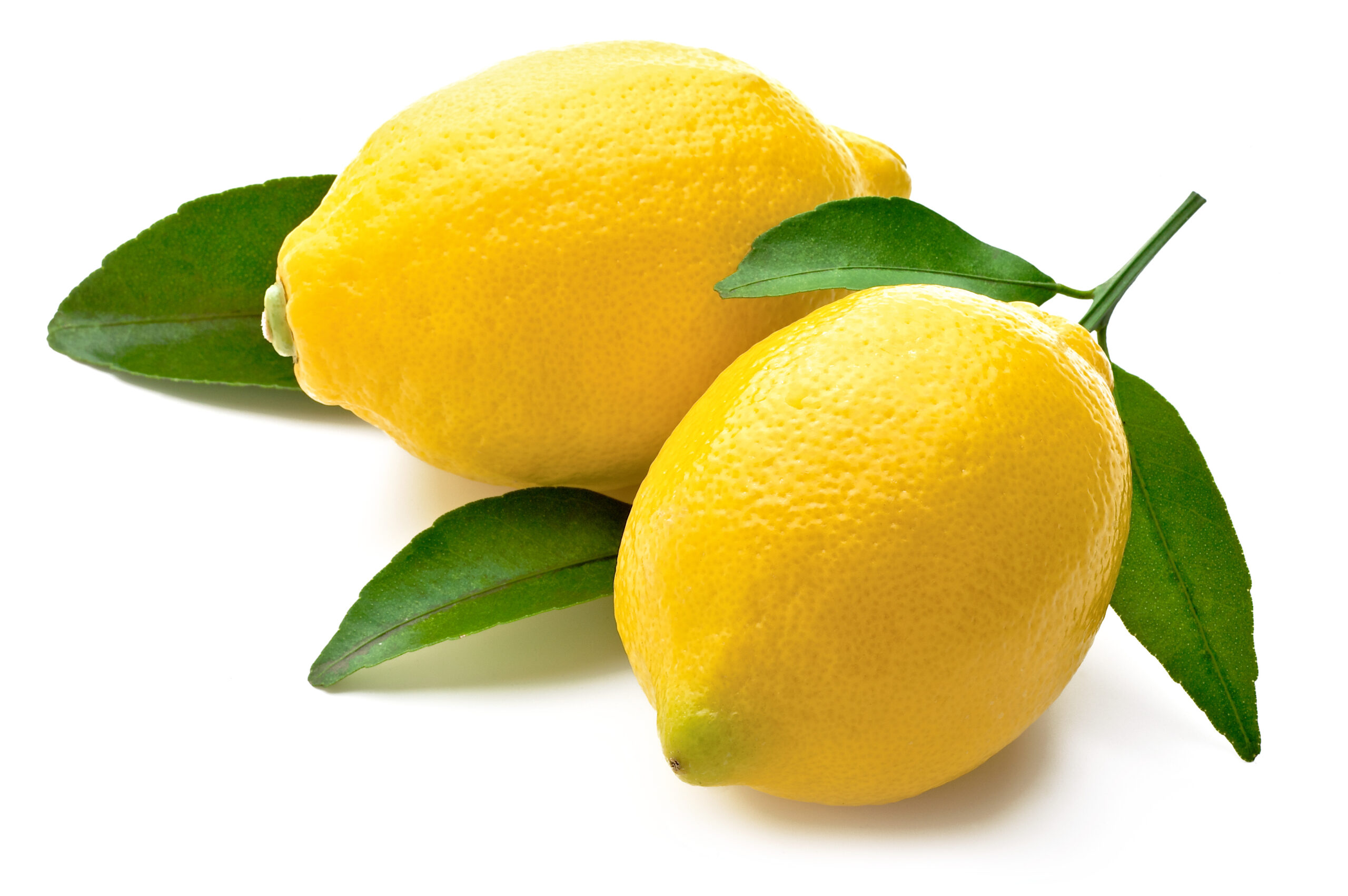 Lemon fruit Pic